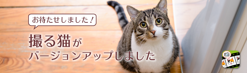 「撮る猫」がバージョンアップしました！