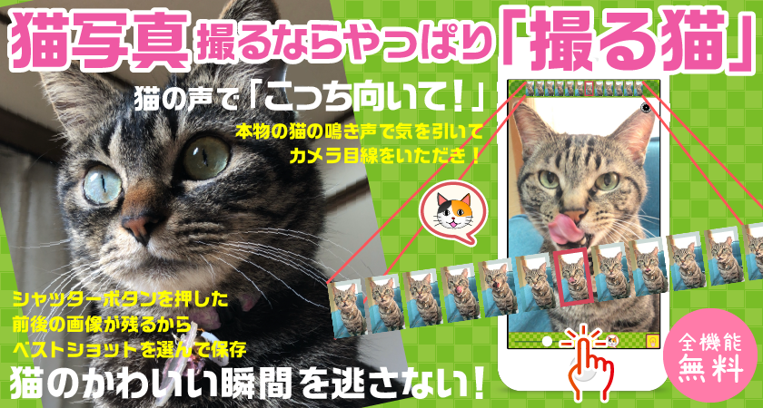 【プレスリリース】猫写真専用カメラアプリ「撮る猫」の新バージョン3.1が5月4日リリース！新たな編集機能追加と撮影機能強化でさらに可愛い猫写真が撮れるように