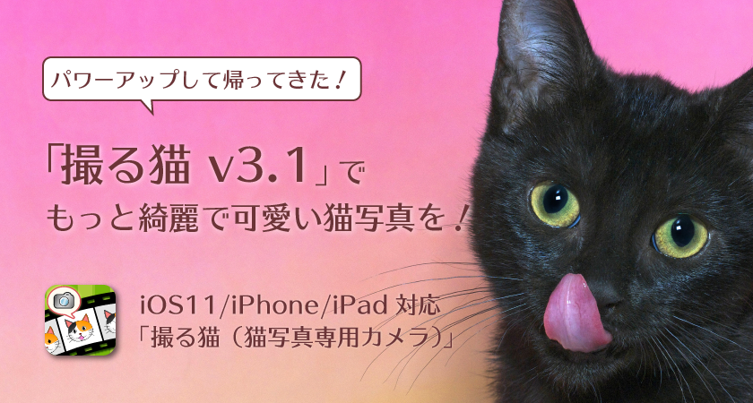 パワーアップして帰ってきた！撮る猫 v3.1でもっと綺麗で可愛い猫写真を！