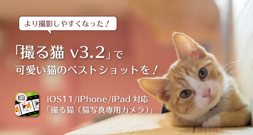 より撮影しやすくなった！撮る猫 v3.2で可愛い猫のベストショットを！