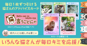 【プレスリリース】毎日１枚ずつ猫からのアドバイスカードが引けるiOS用アプリ「猫さんの言うことにゃ」を8月8日リリース