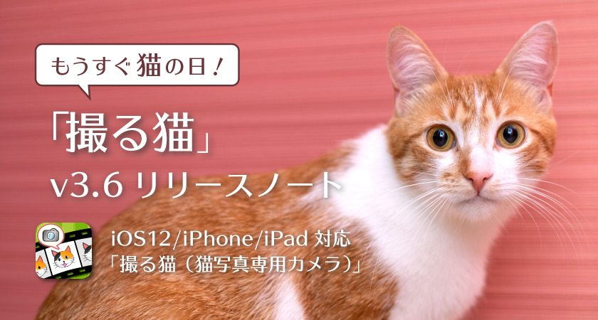 もうすぐ猫の日！「撮る猫」v3.6 リリースノート