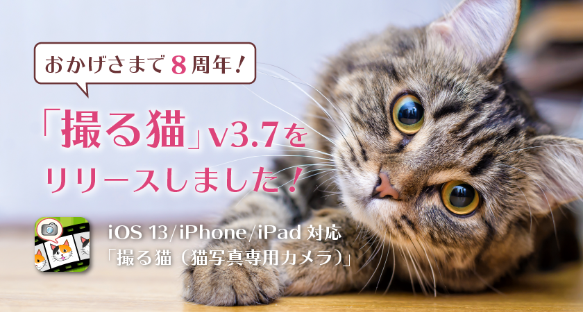 おかげさまで８周年！「撮る猫」v3.7をリリースしました！