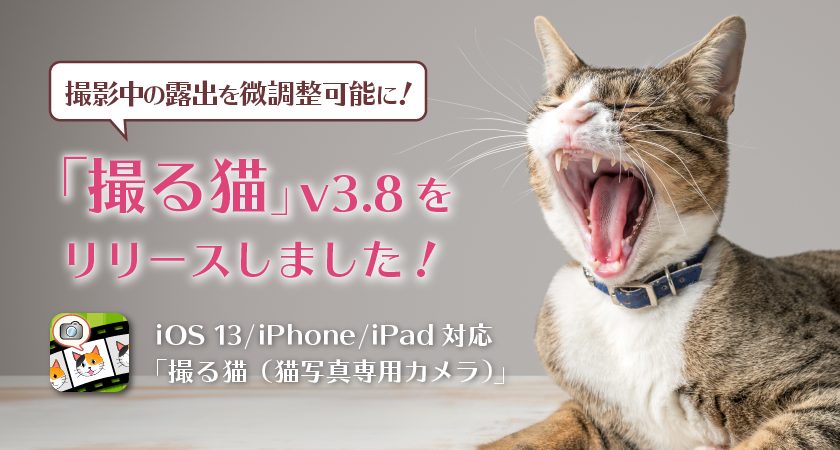 撮影中の露出を微調整可能に！「撮る猫」v3.8をリリースしました！