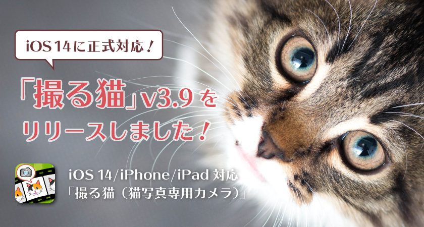 iOS 14に正式対応！「撮る猫」v3.9をリリースしました！